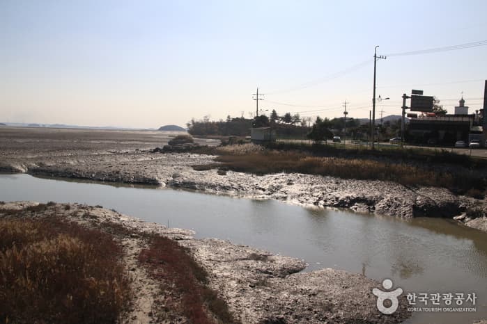 [Ganghwa Nadeul-gil Course 8] Bird Watching Trail ([강화 나들길 제8코스] 철새 보러 가는 길)