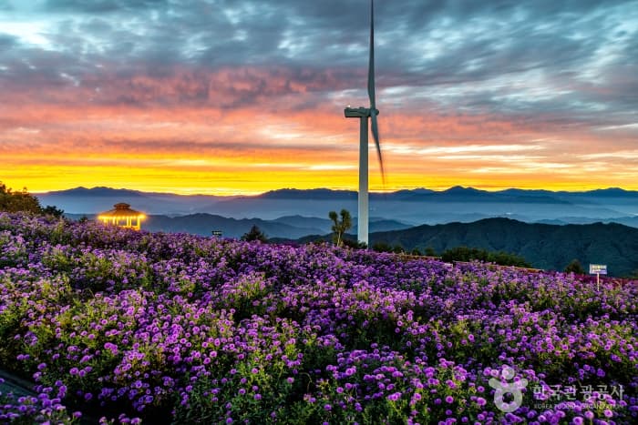 Gamaksan Wind Farm (감악산 풍력발전단지)