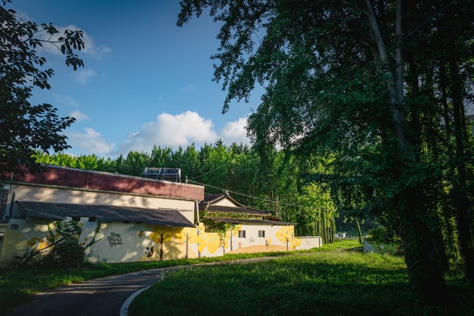 Dori Village Ginkgo Tree Forest (도리마을은행나무숲)