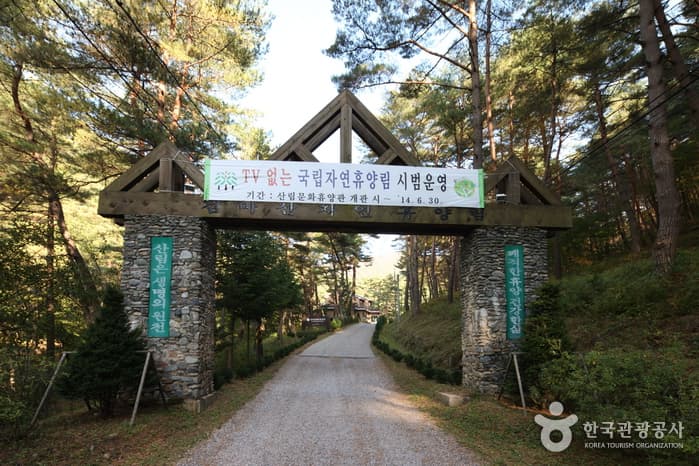 Geommasan National Recreational Forest (국립 검마산자연휴양림 )