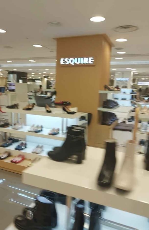 Esquire [Tax Refund Shop] (에스콰이아)