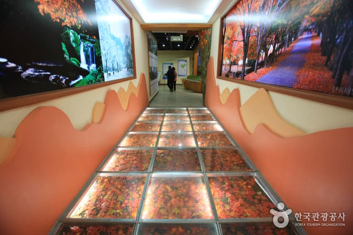 Naejangsan Mountain Visitor Information Center (내장산 탐방안내소)