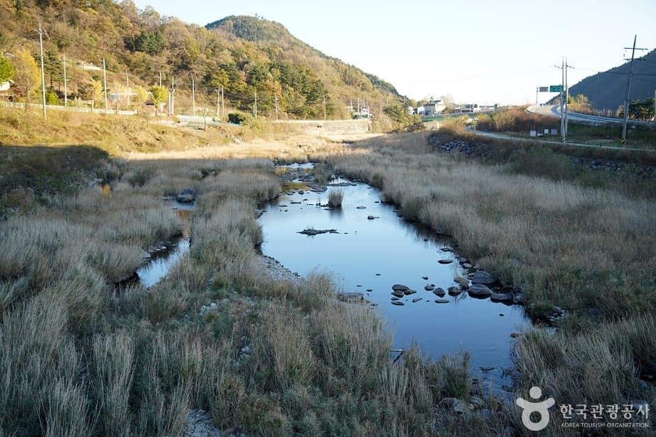 Namdaecheon Stream (남대천(강릉))