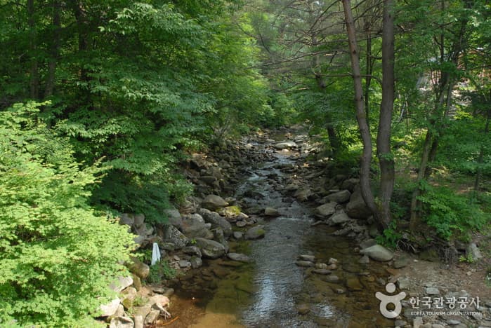 Cheongoksan Mountain (Bonghwa) (청옥산(봉화))