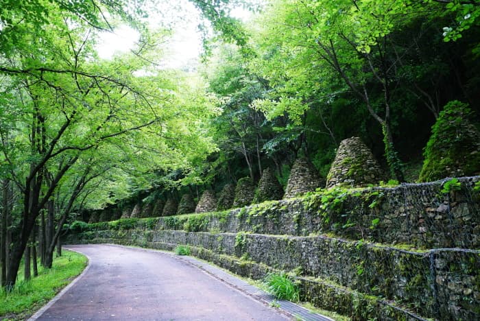 Sangso-dong Forest Park (상소동 산림욕장)