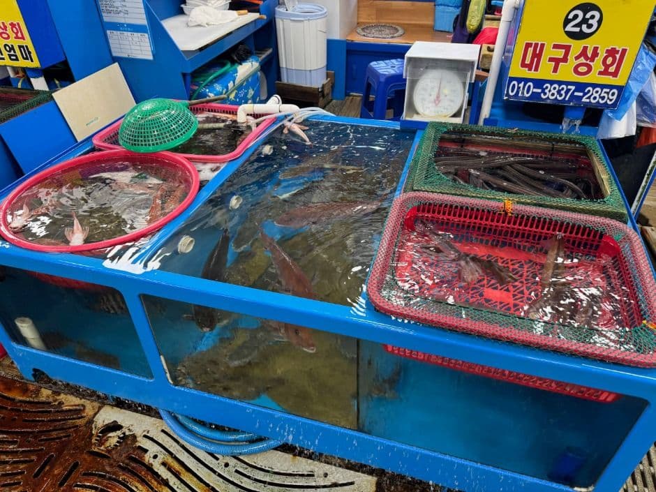 Bangeojin Live Fish Center (방어진 활어센터)