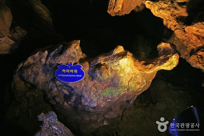 Seongnyugul Cave [National Geopark] (성류굴 (경북 동해안 국가지질공원))