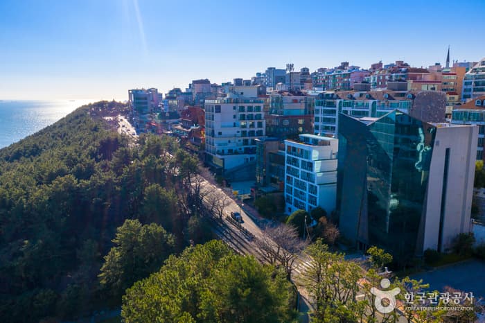 Dalmaji Road (해운대 달맞이길)