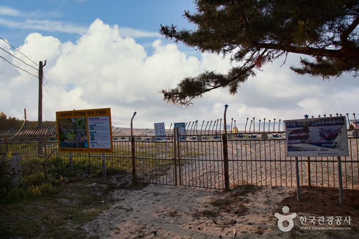 Songjeonhaebyeon Beach (송전해수욕장)