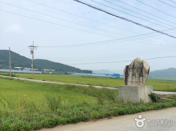 Cheorwon Plain (Migratory Bird Habitat) (철원평야(철새도래지))