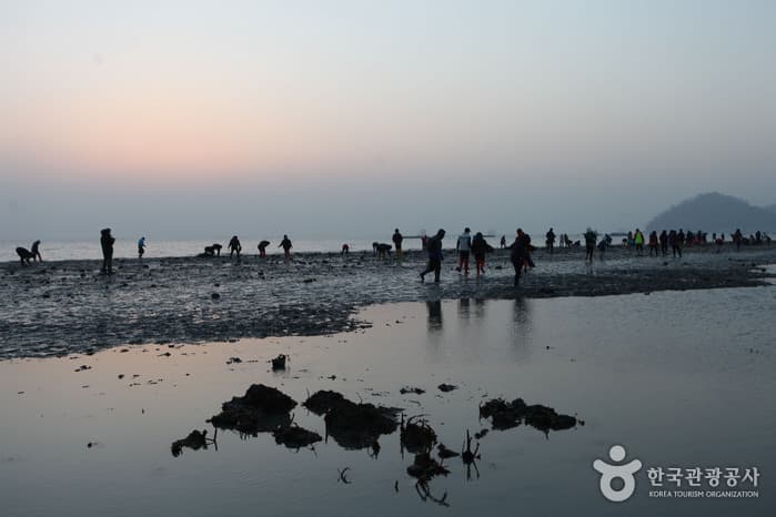 Jindo Mysterious Sea Route (진도 신비의 바닷길)