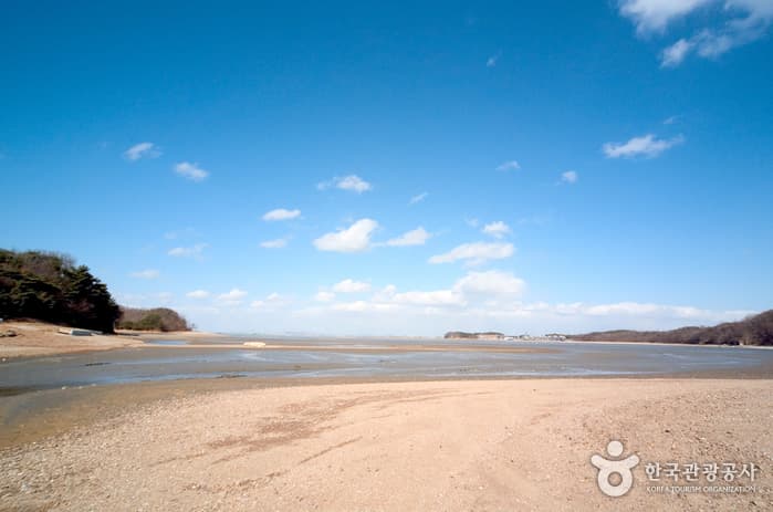 Daebudo Island (대부도)