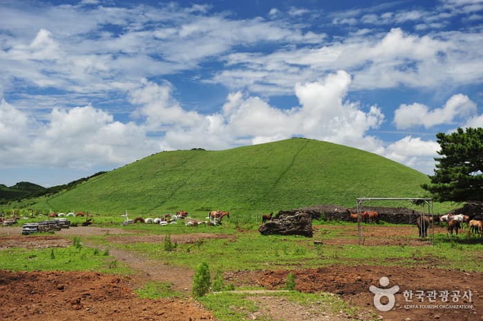 Saebyeol Oreum Volcanic Cone (새별오름)