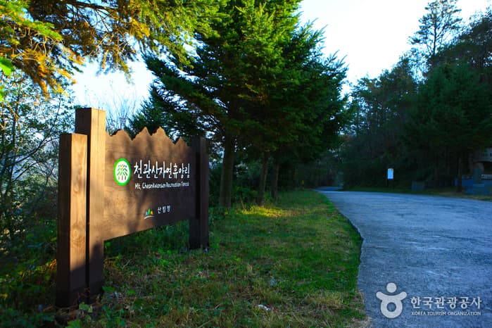 Cheongwansan National Recreational Forest (국립 천관산자연휴양림)