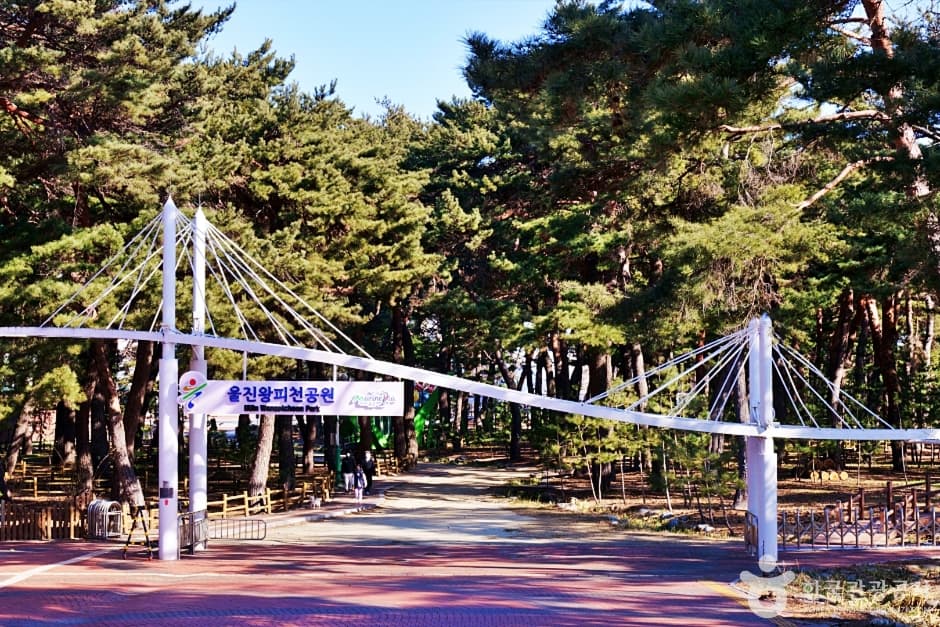 Uljin Wangpicheon Park (울진 왕피천 공원)
