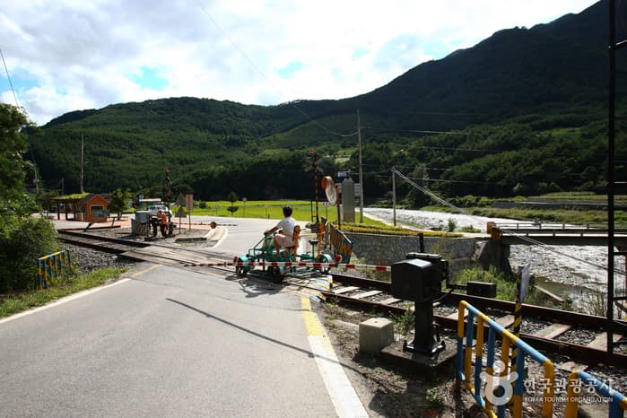 Jeongseon Railbike (정선레일바이크)