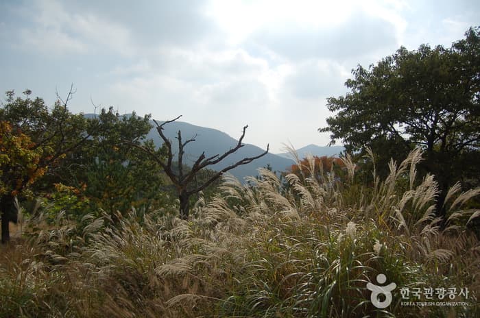 Gajisan Provincial Park (Miryang Section) (가지산도립공원(밀양))