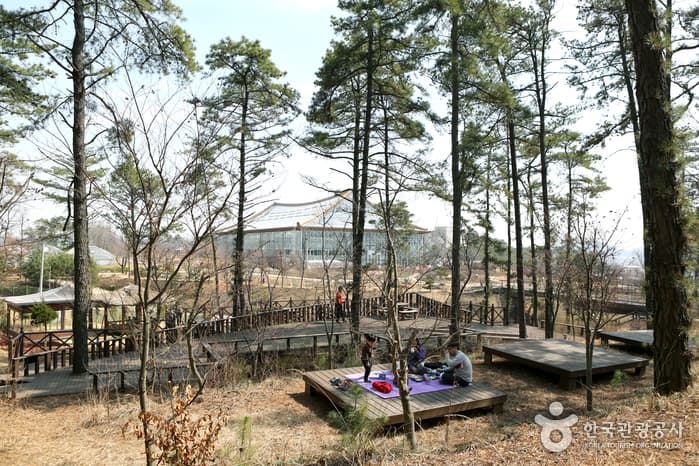 Hwaseong City Botanic Garden (화성시 우리꽃 식물원)