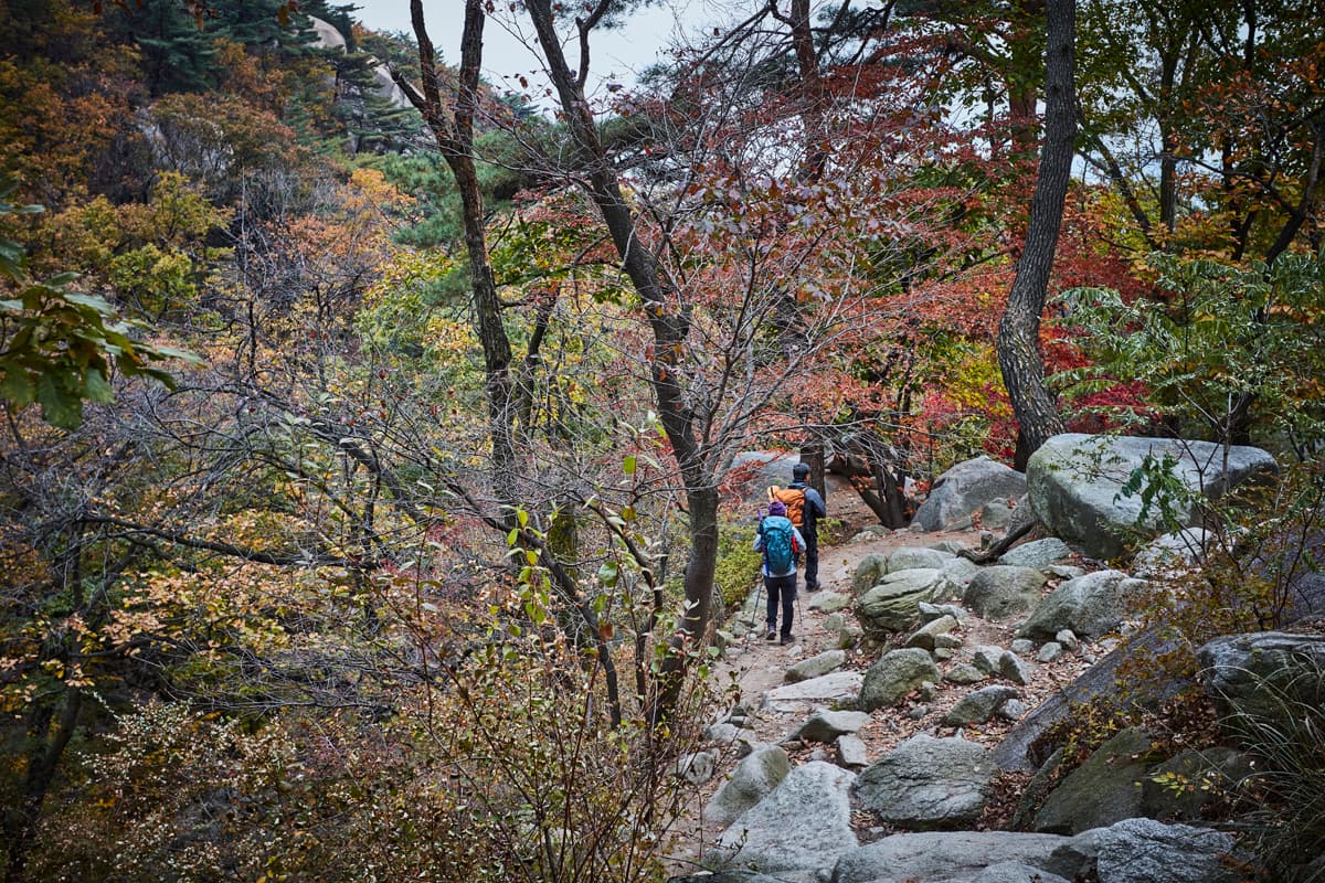 Bukhansan National Park (Seoul District) (북한산국립공원(서울))