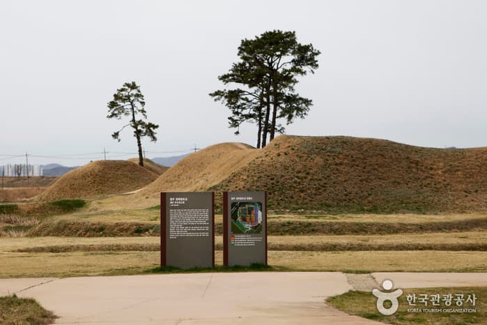 Earthen Fortification in Jeongbuk-dong (청주 정북동 토성)