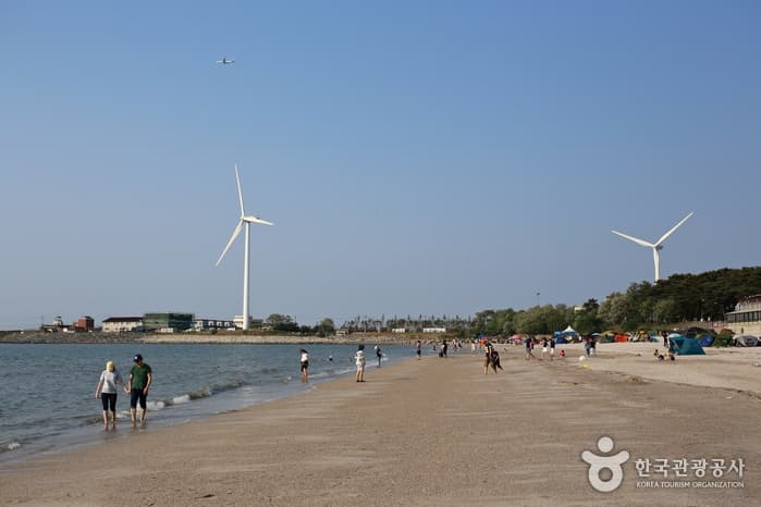 Bangameori Beach (방아머리해수욕장)