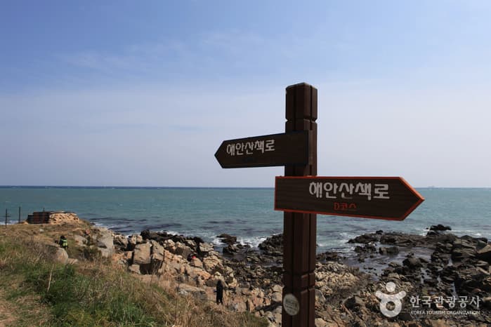 Seuldo Island (슬도)