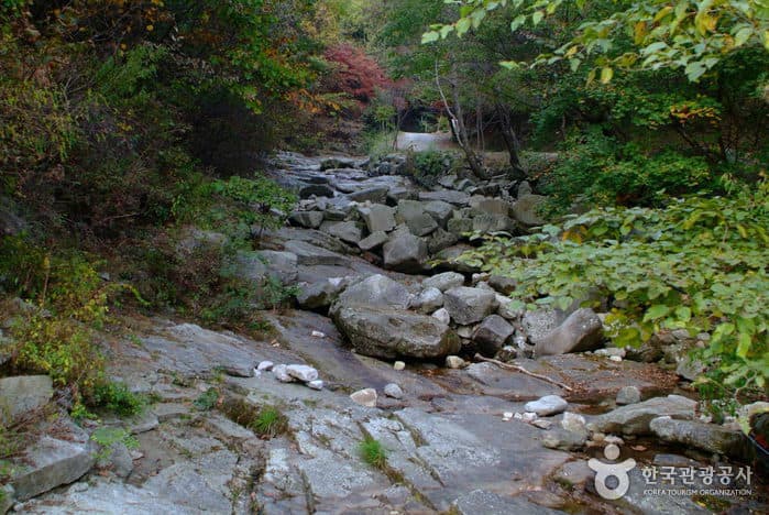 Cheoneunsagyegok Valley (Wonju) (천은사계곡(원주))
