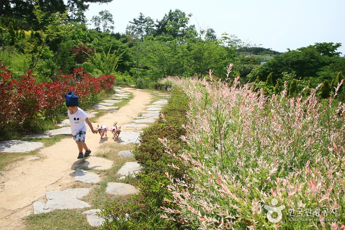 Farm Kamille, Taean (팜카밀레)