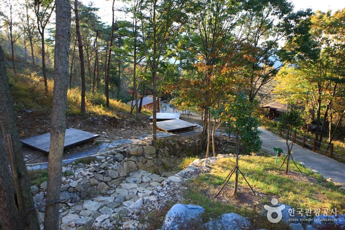 Cheongwansan National Recreational Forest (국립 천관산자연휴양림)