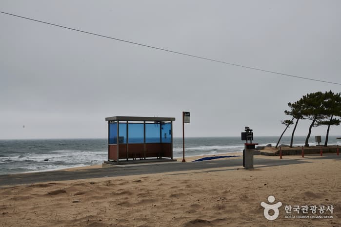 BTS Bus Stop (주문진읍 BTS 앨범사진 촬영지 (버스정류장))