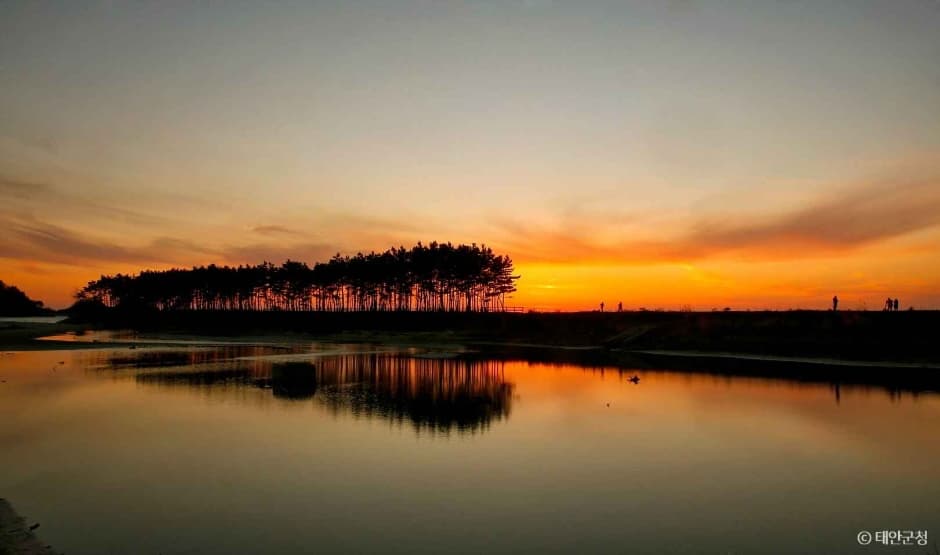 Unyeo Beach (운여해변)