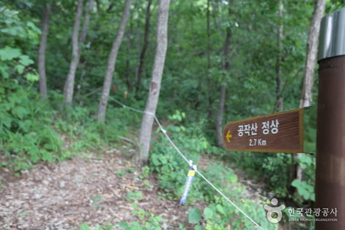Gongjaksan Mountain (공작산)