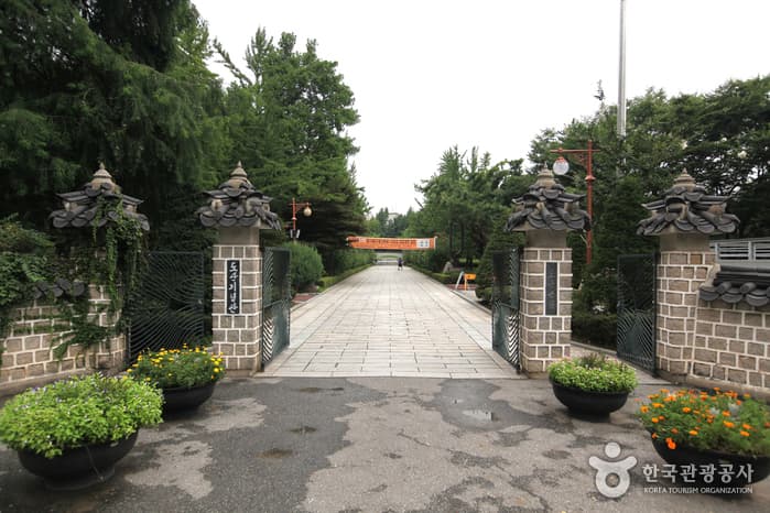 Dosan Park (도산공원)