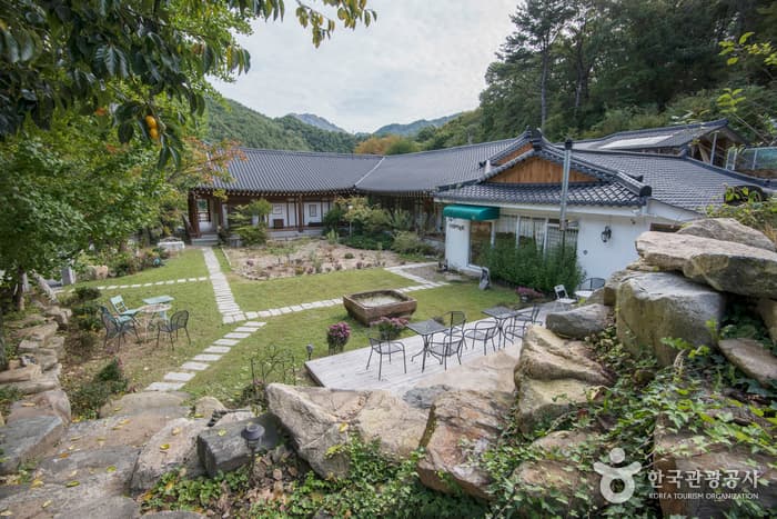 Dals Garden  / 달의 정원