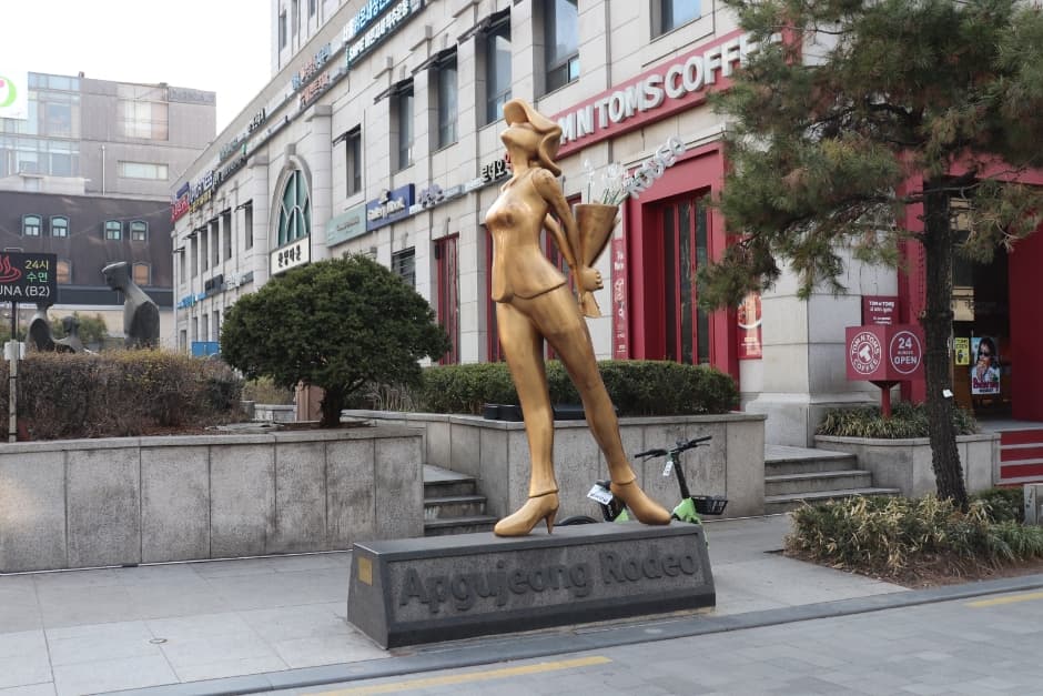 Apgujeong Rodeo Street (압구정 로데오거리)