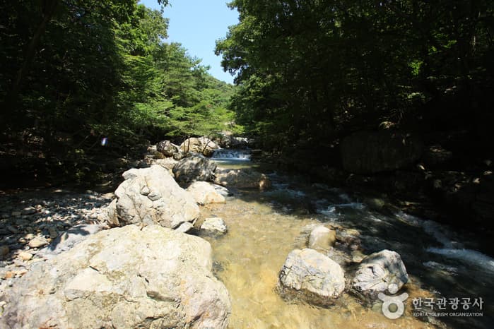 Jangyu Daecheonggyegok Valley (장유대청계곡)
