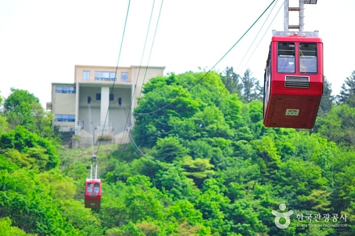 Dokdo Observatory Cable Car (독도전망대 케이블카)
