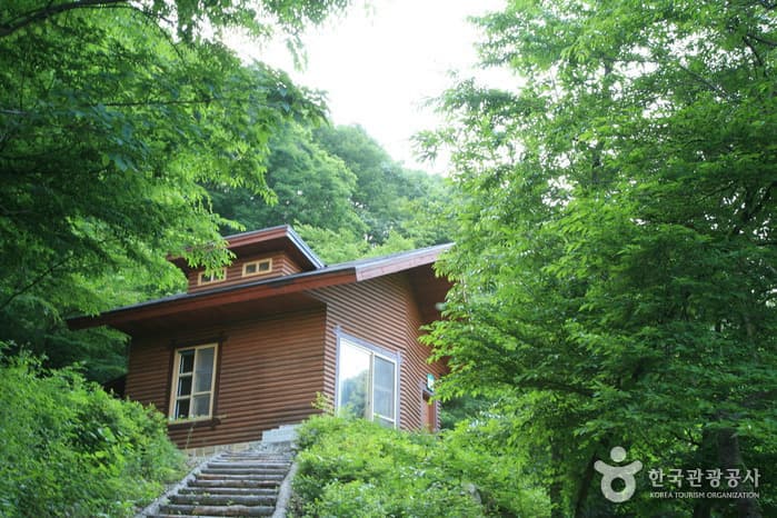 Unjangsan National Recreational Forest (국립 운장산자연휴양림)