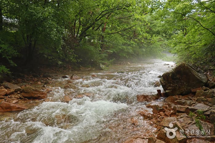 Mansugyegok Valley (만수계곡)