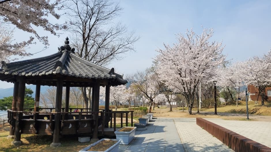 Dasan Ecological Park (다산생태공원)