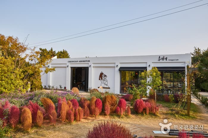 Cheongsan Arboretum (청산수목원)