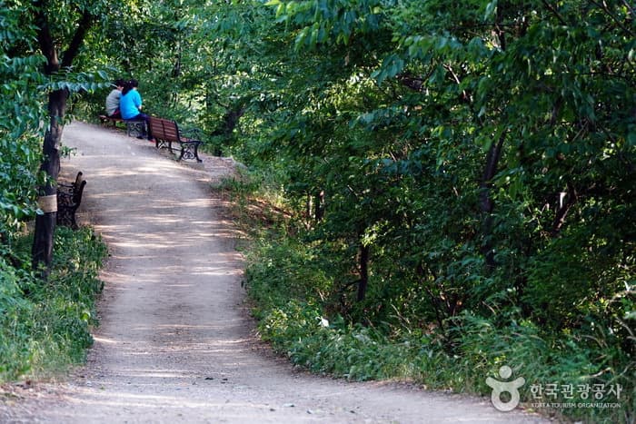 Daegu Dalseong Park (대구 달성공원)
