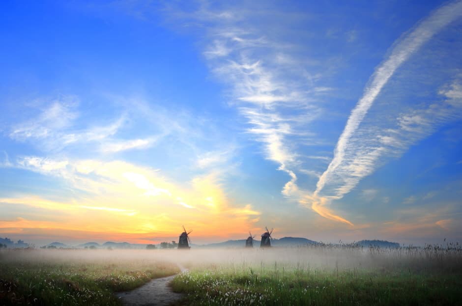 Sorae Marsh Ecological Park (소래습지생태공원)