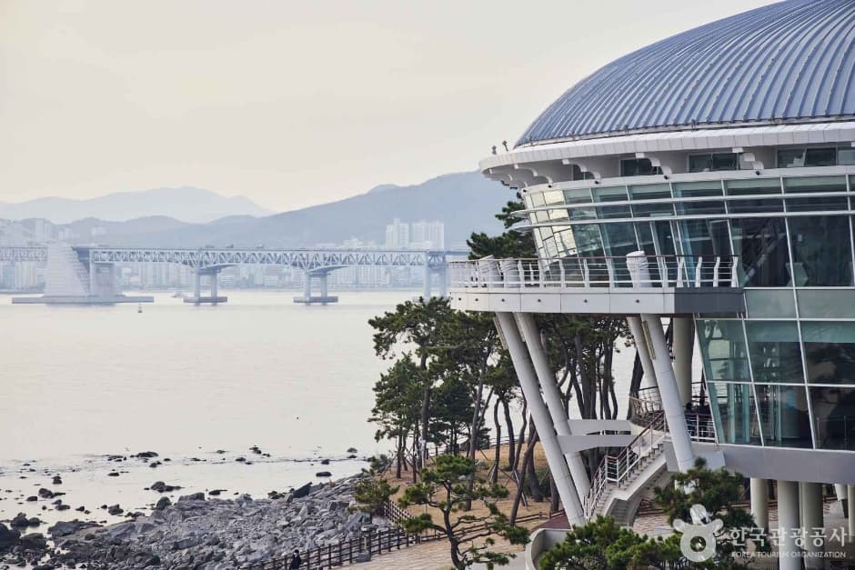Haeundae Dongbaekseom Island (해운대 동백섬)