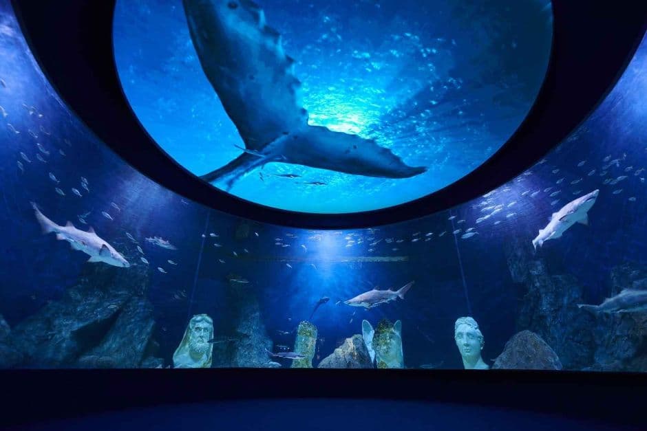 Daejeon Expo Aquarium (대전 엑스포 아쿠아리움)
