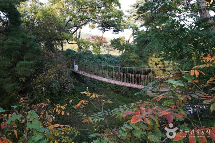 Yecheon Suspension Bridge Village (예천 출렁다리마을)