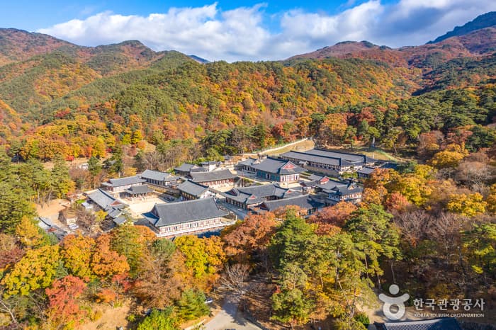 Hapcheon Haeinsa Temple (해인사 (합천))