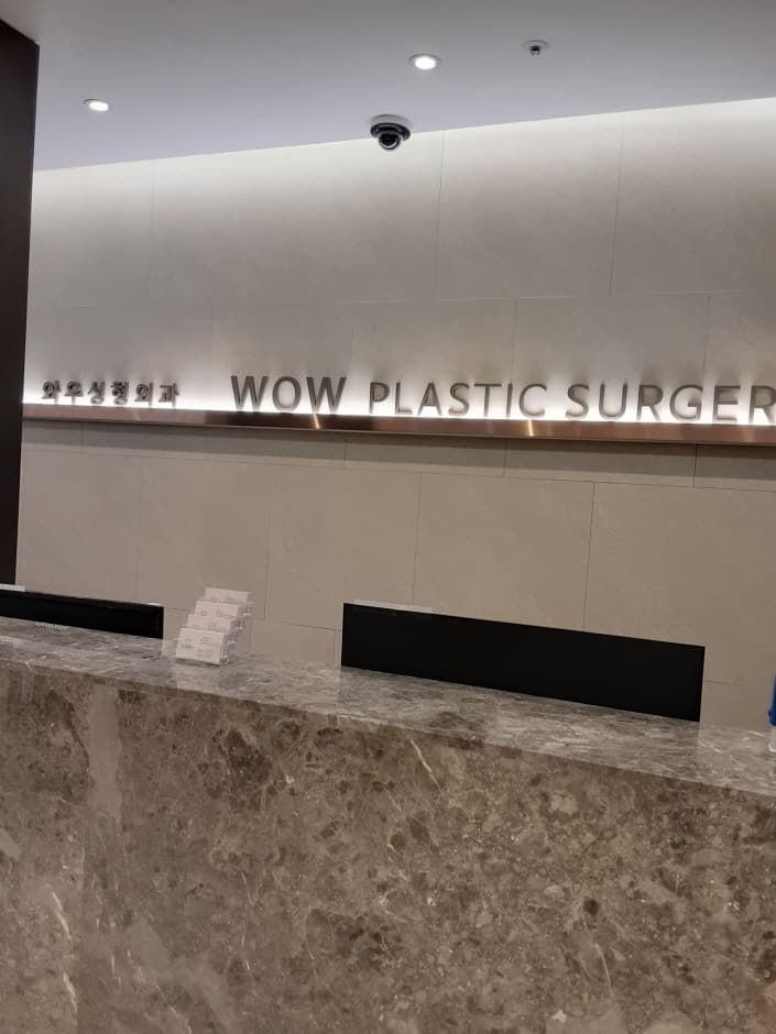 Wow Plastic Surgery [Tax Refund Shop] (와우성형외과)