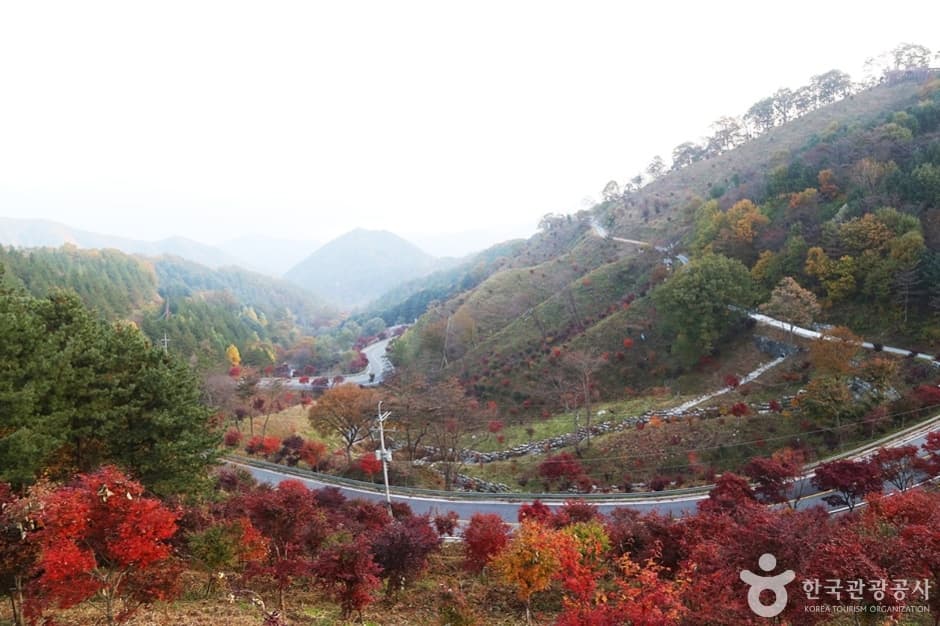 Road to Jirisan (지리산 가는길)