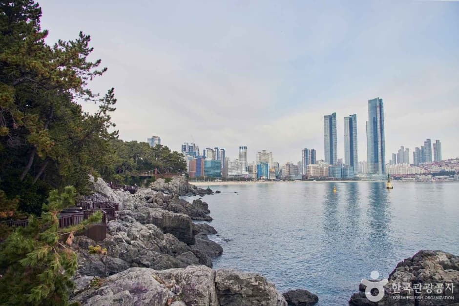 Haeundae Dongbaekseom Island (해운대 동백섬)